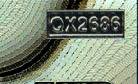 corrosive scraggly number