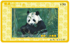 gradual colour metal card