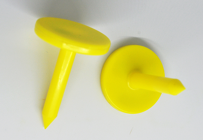 RFID Nail Tag