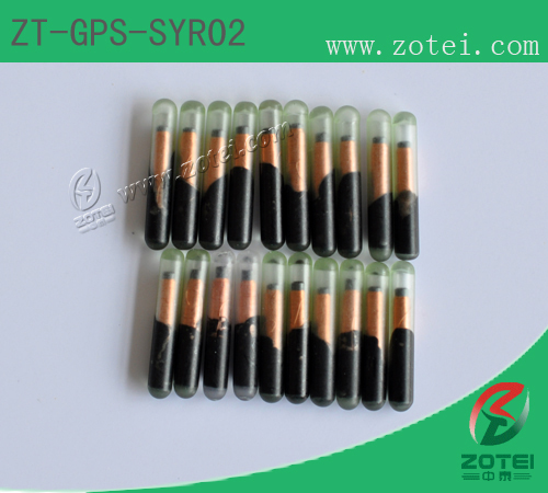 Syringe RFID Tag