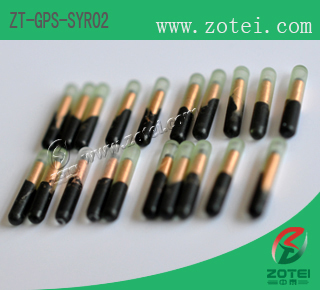 Syringe RFID Tag