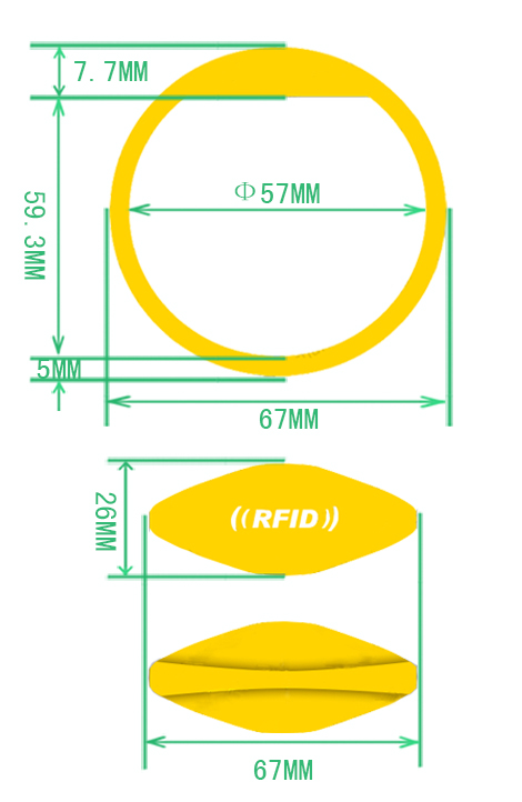 Bold Oblate RFID Silicone Wristband