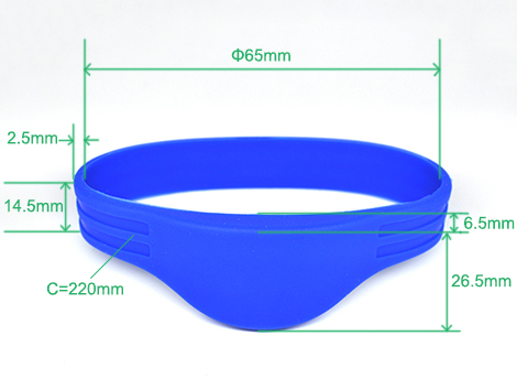 Size: Φ65mm