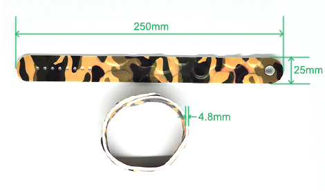 Size: 250*25*4.8mm