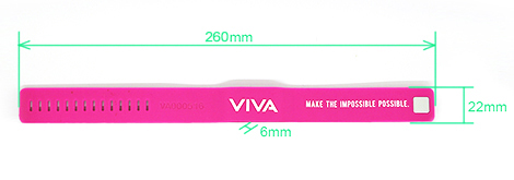 Size:267*22*6mm