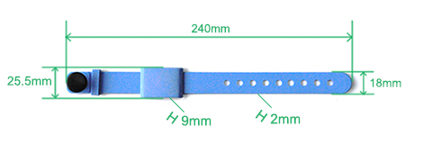 Size:245*18*8mm