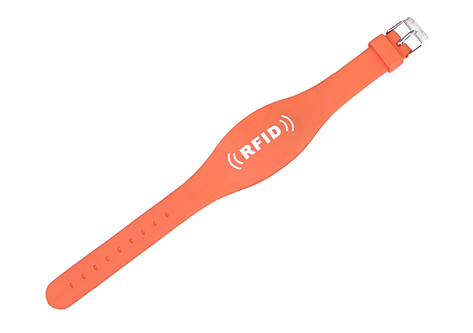 RFID two chips wristband