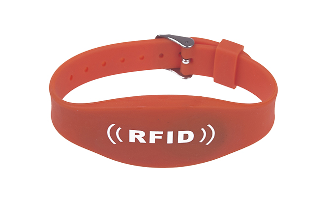 RFID two chips wristband