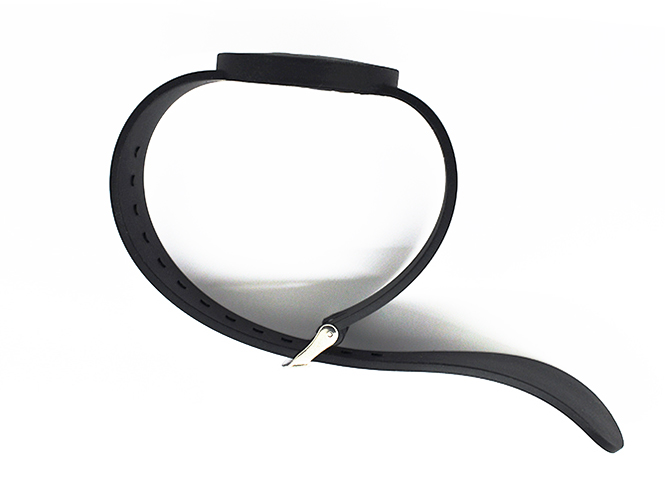 RFID two chips wristband