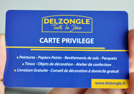 telecom card