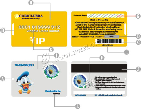 plastic card option